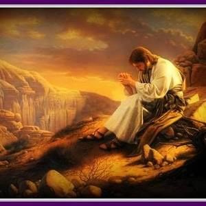 Meet your Posher, Millan